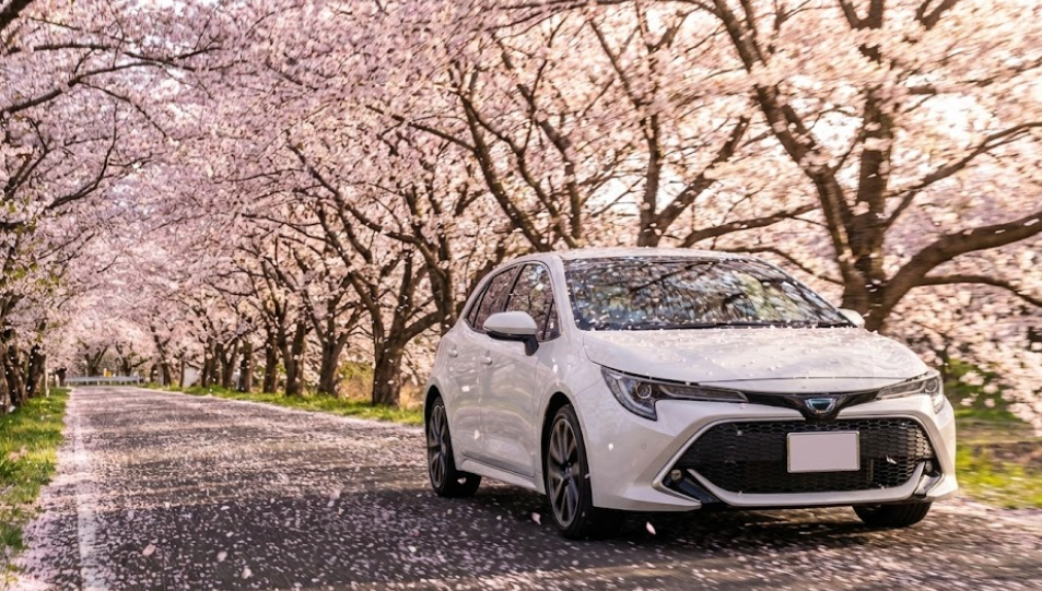 トヨタカローラ値引きの限界額は？35万円を引き出す交渉術